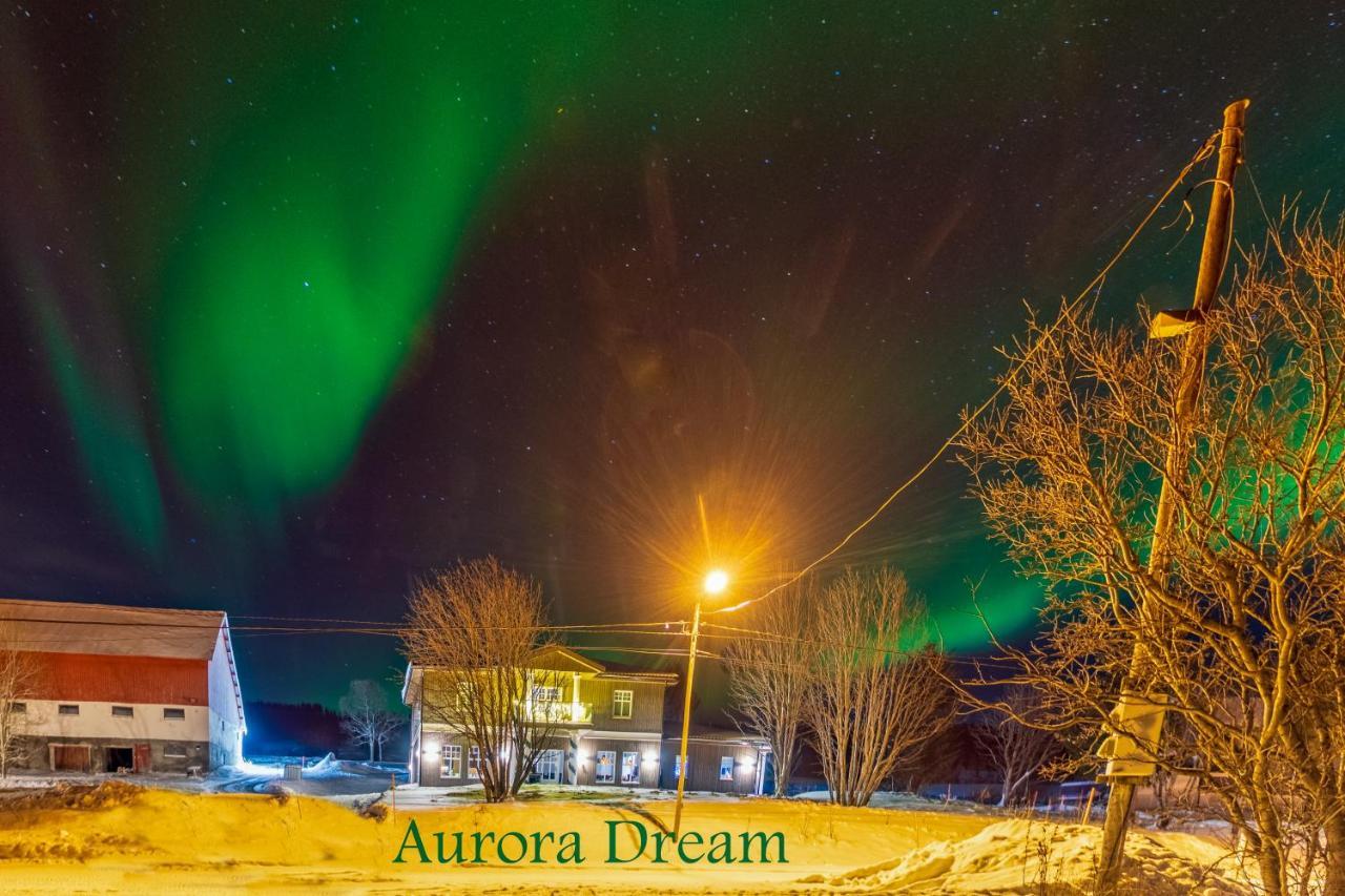 Aurora Dream Svensby Exterior foto